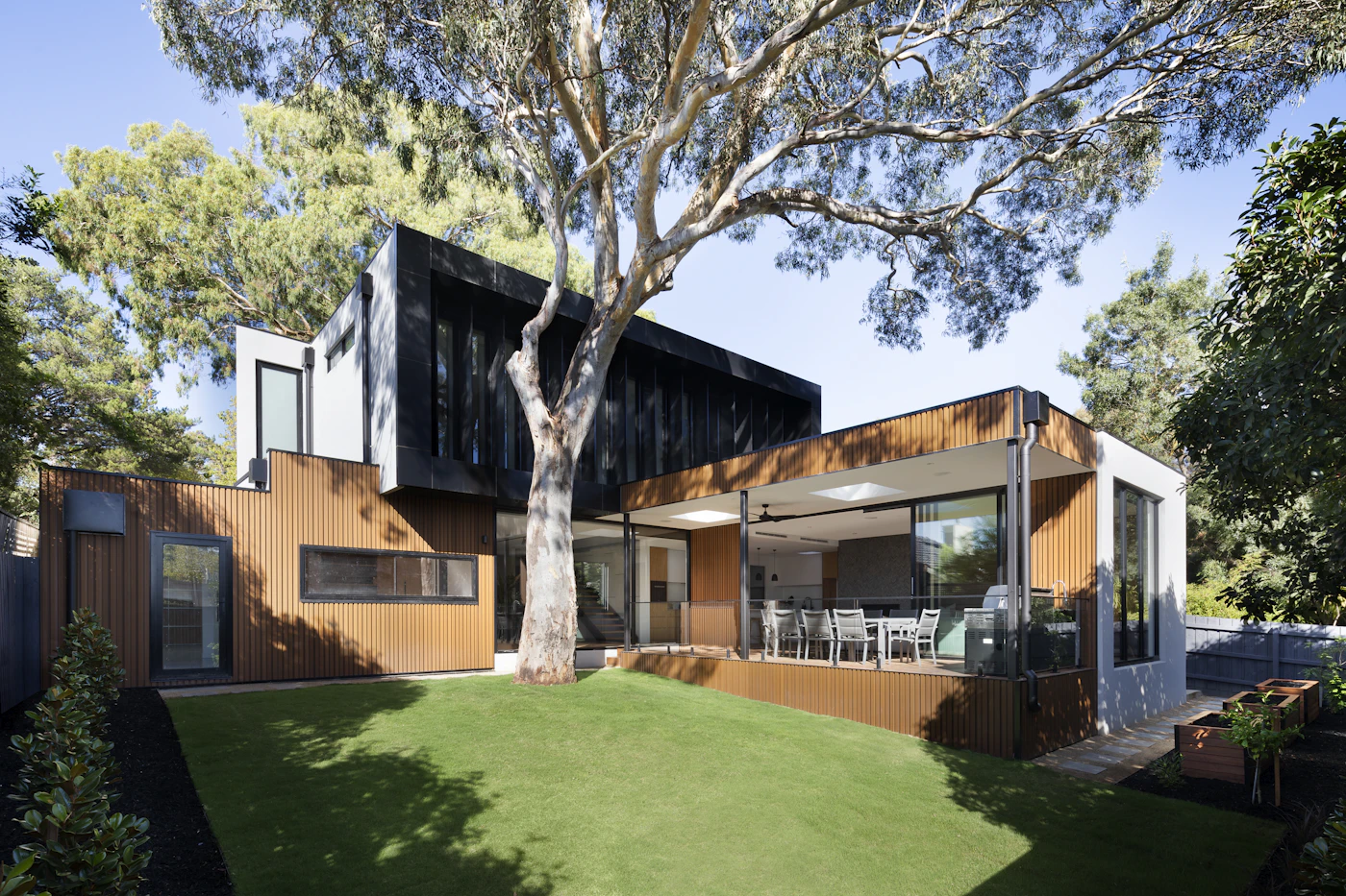 Modern house exterior with large tree during daytime